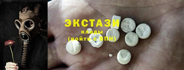 индика Богородск