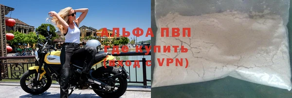 индика Богородск