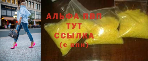 индика Богородск