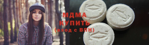 индика Богородск