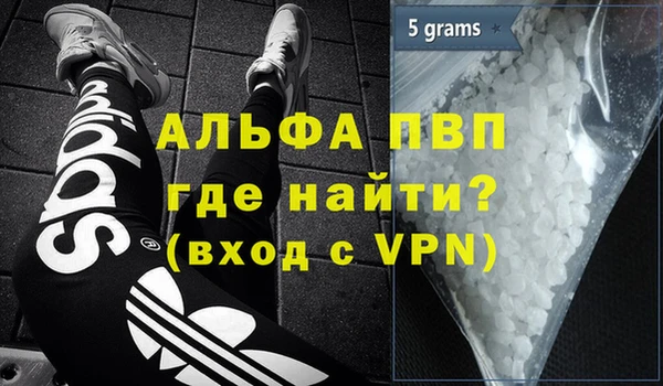 эйфоретик Богданович