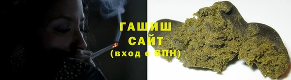 индика Богородск