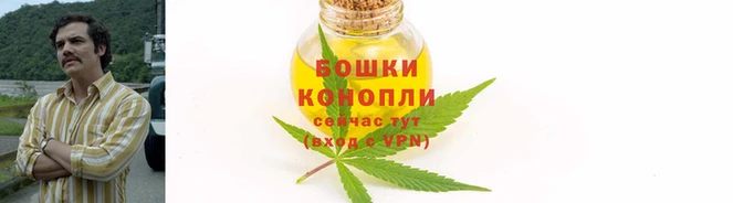 каннабис Белоозёрский