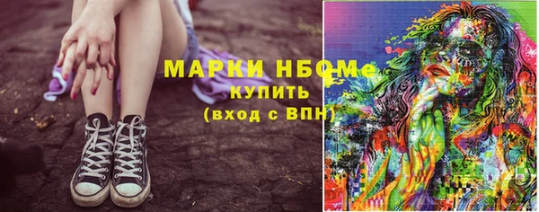 индика Богородск