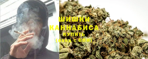дурь Богородицк