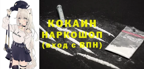 индика Богородск