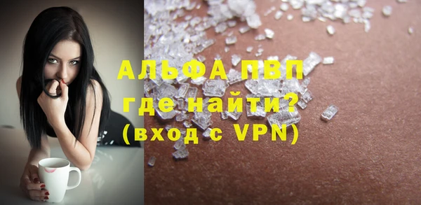 индика Богородск