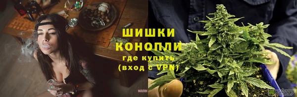 дурь Богородицк